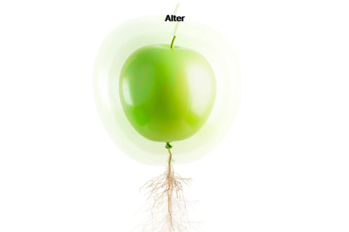 Alter organic balloon